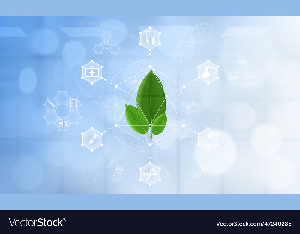 Kratom medical Royalty Free Vector Image - VectorStock