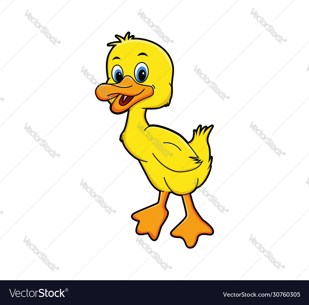 Duckling Royalty Free Vector Image - VectorStock