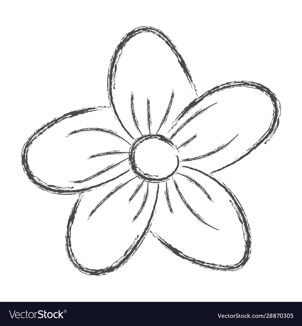 37,800+ Pencil Drawing Flower Stock Photos, Pictures & Royalty-Free Images  - iStock