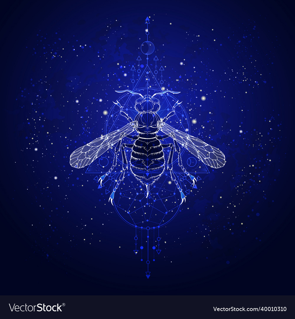 St0454 Royalty Free Vector Image - VectorStock