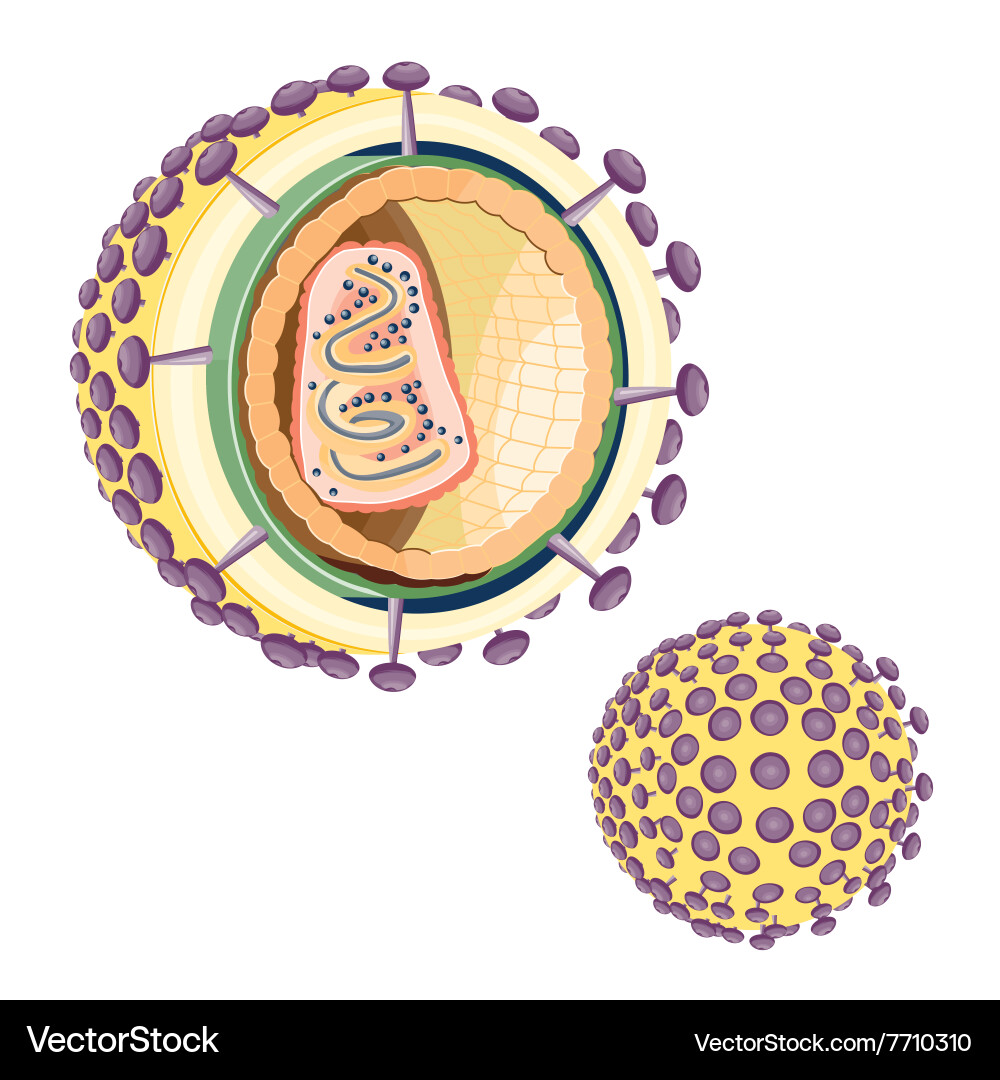 Structure aids virus Royalty Free Vector Image