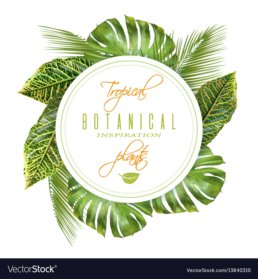 Tropical Round Banner Royalty Free Vector Image