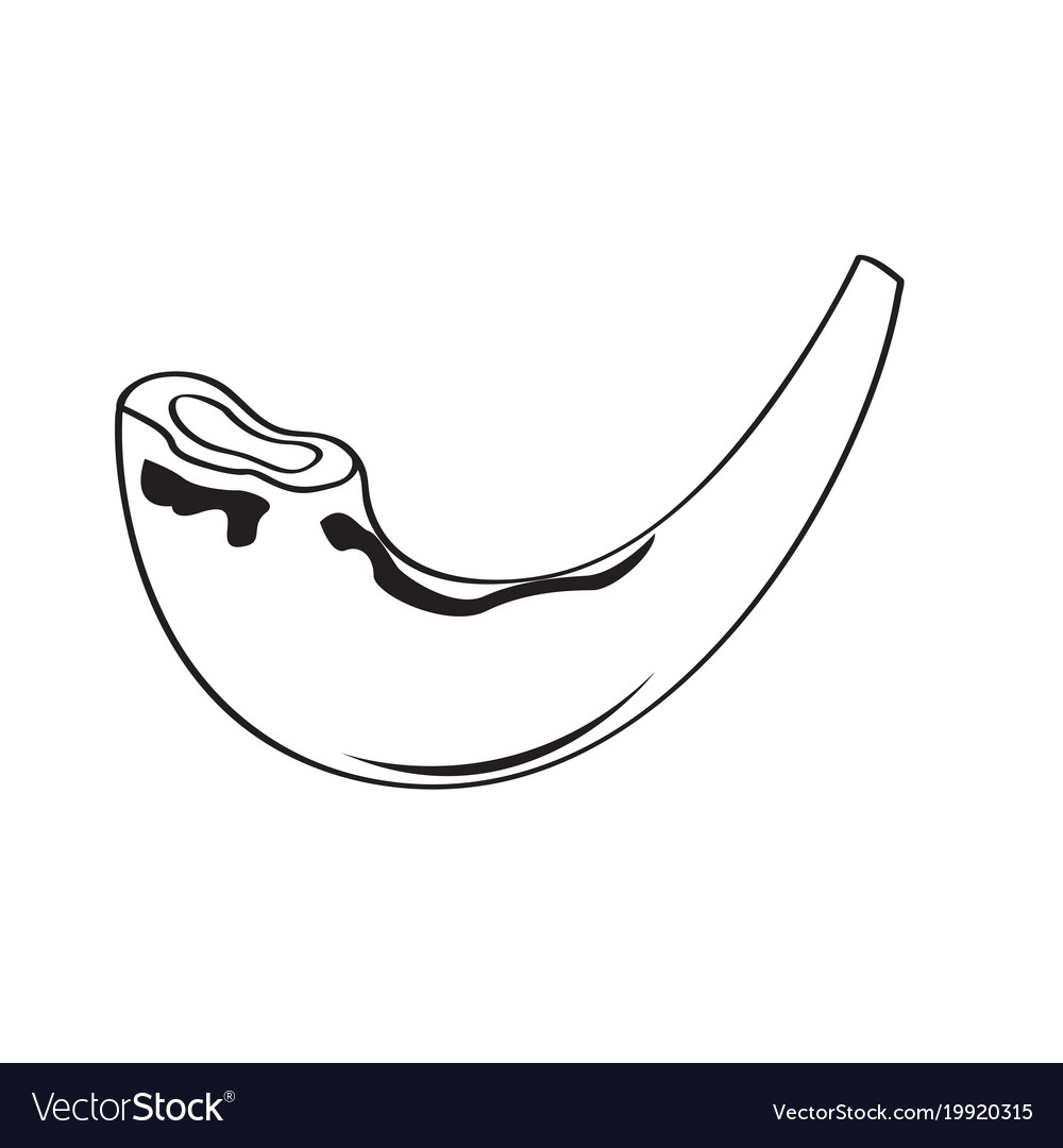 Jewish shofar outline Royalty Free Vector Image