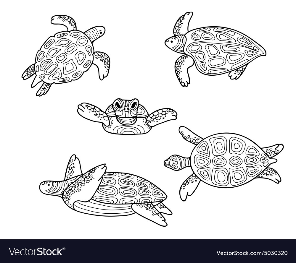 Decorative image floating sea turtles in Vector Image