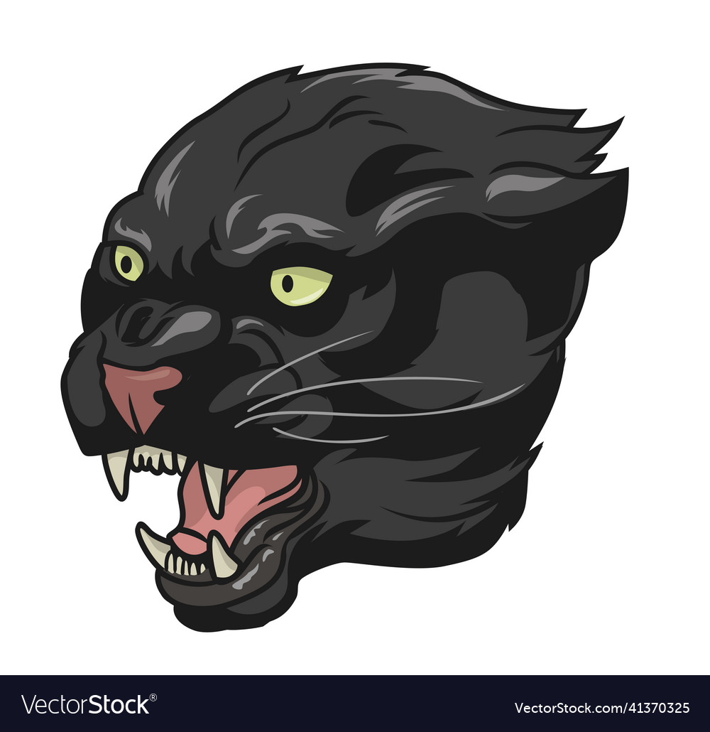 Panthers head Royalty Free Vector Image - VectorStock