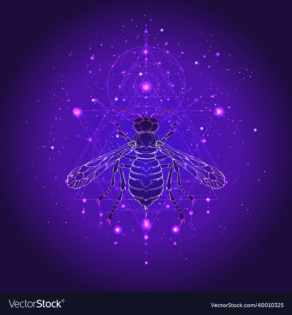 St0454 Royalty Free Vector Image - VectorStock