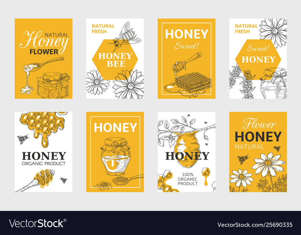 Honey Sketch Poster Honeycomb And Bees Flyer Set Vector Image