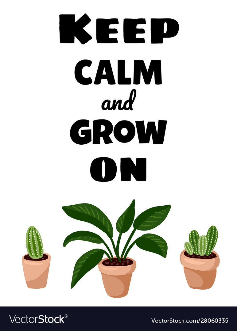 Keep calm and grow on postcard potted succulent Vector Image