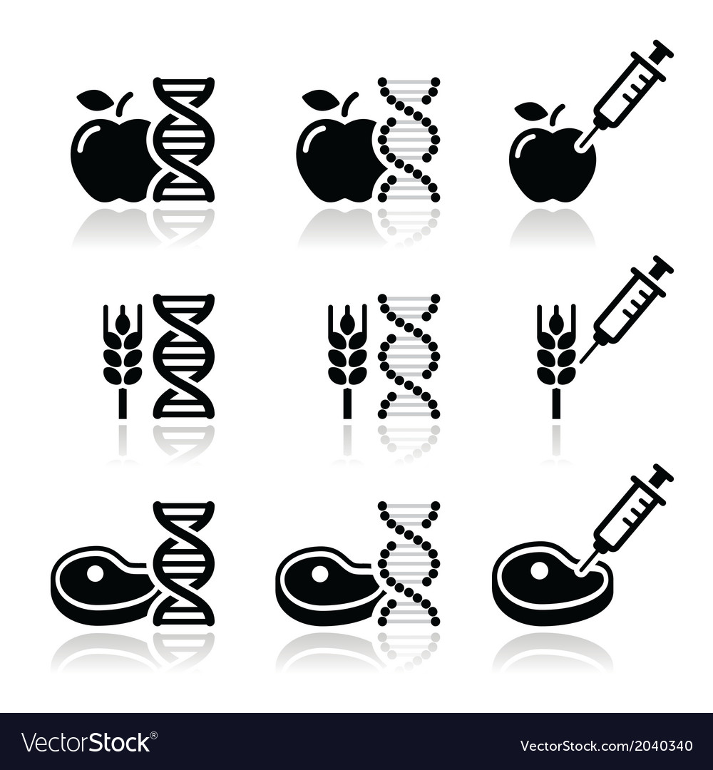 Food dna genetically modyfied gmo icons set Vector Image