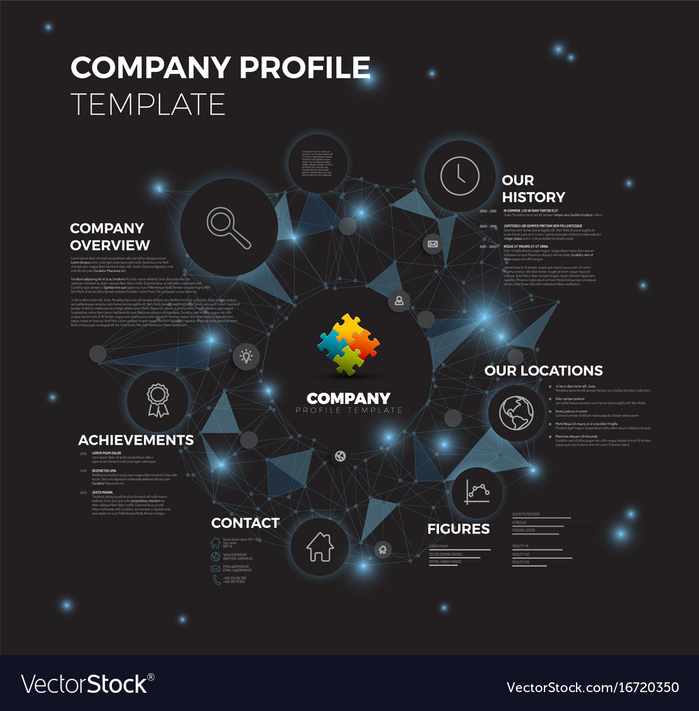 Company infographic overview design template Vector Image
