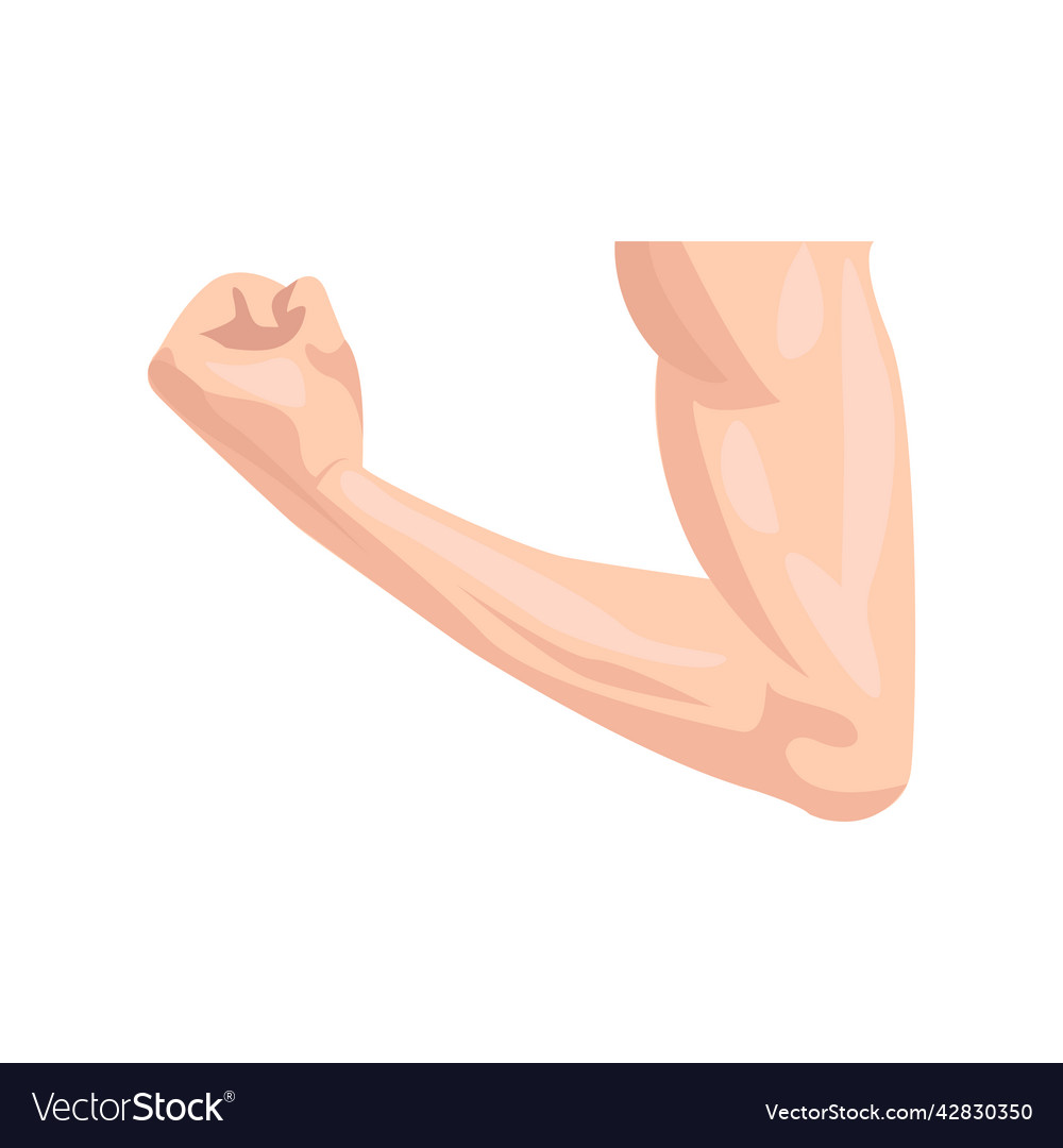 Muscular arm flat icon colored element from body