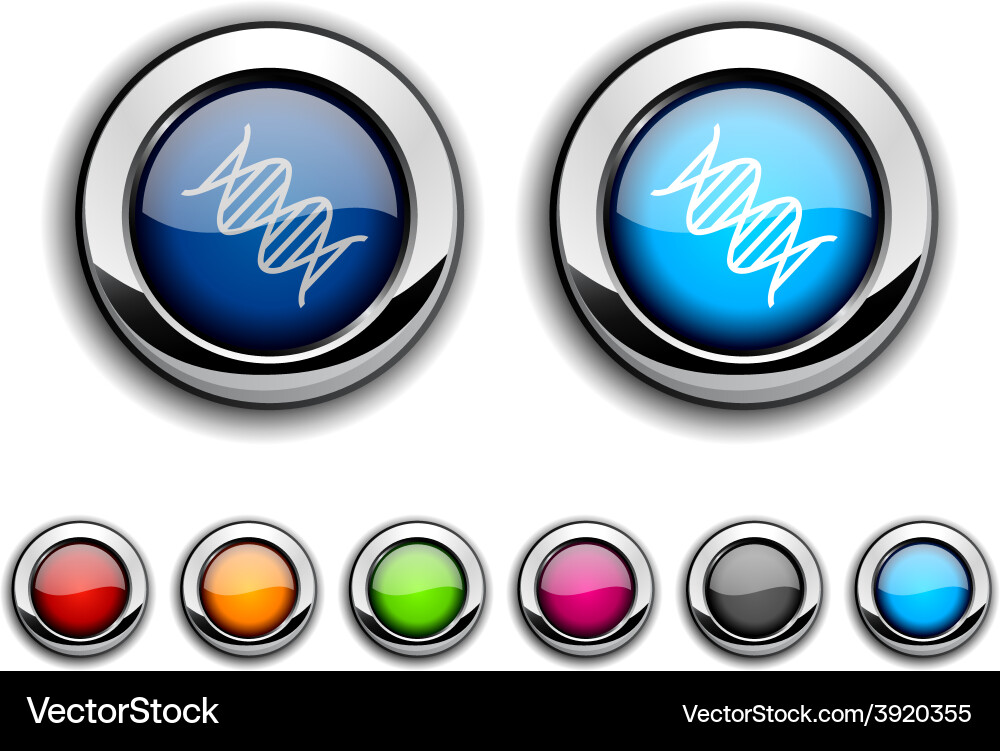DNA button Royalty Free Vector Image - VectorStock