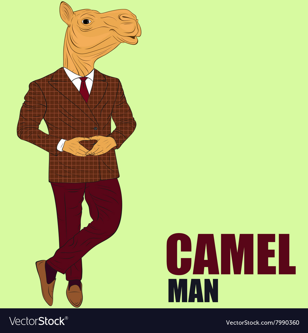 Cartoon character camel Royalty Free Vector Image Cartoon character camel Royalty Free Vector Image