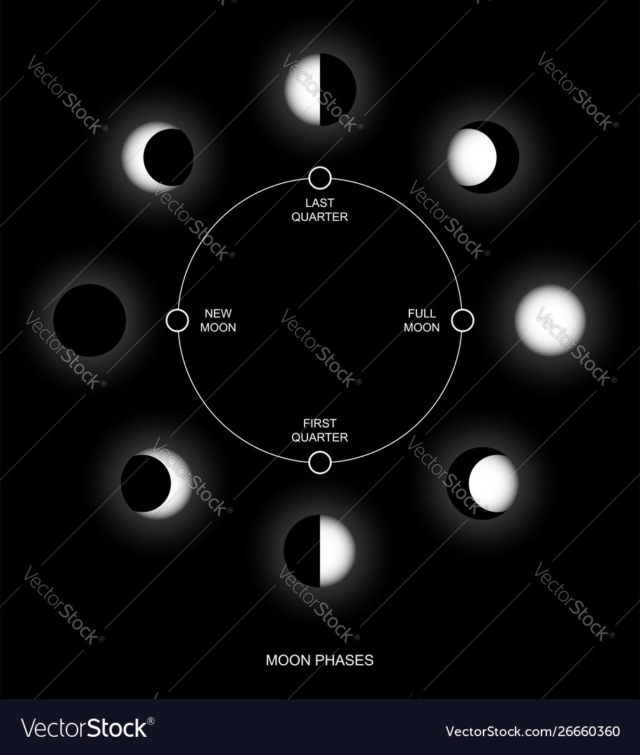 Moon black circle 2 Royalty Free Vector Image - VectorStock