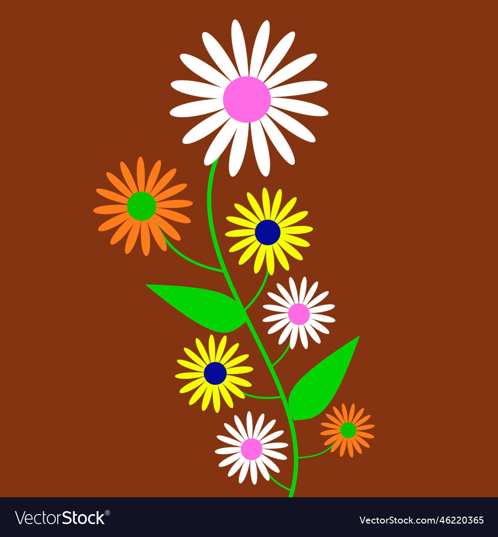 Colorful daisy flowers on a brown background Vector Image