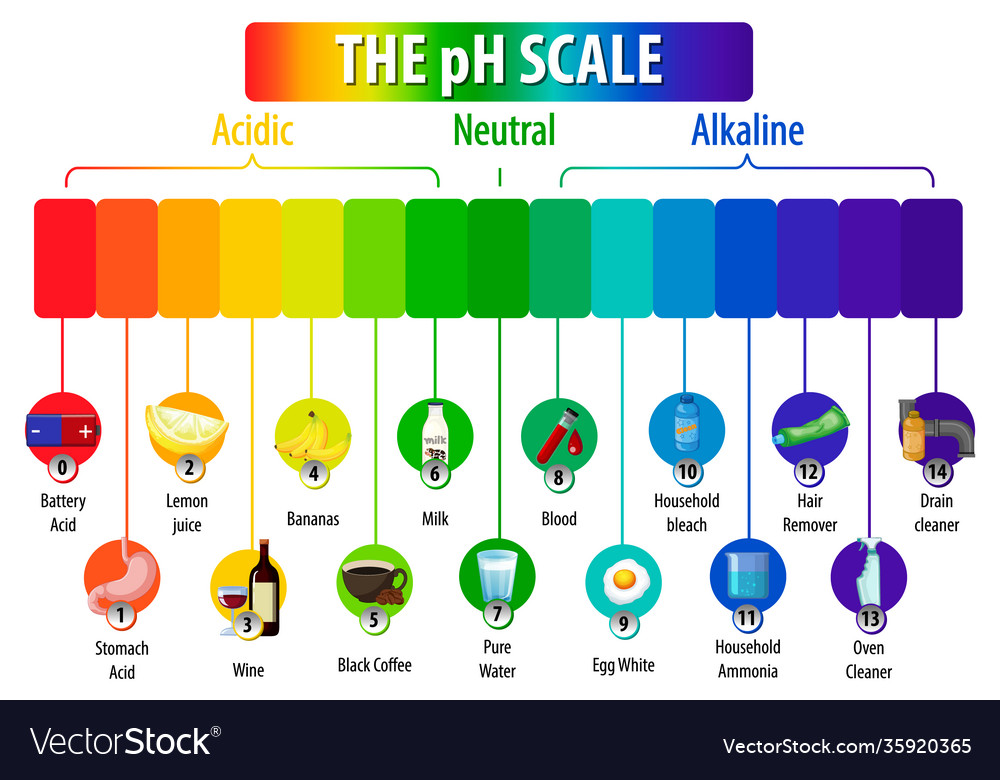 Ph scale diagram on white background Royalty Free Vector