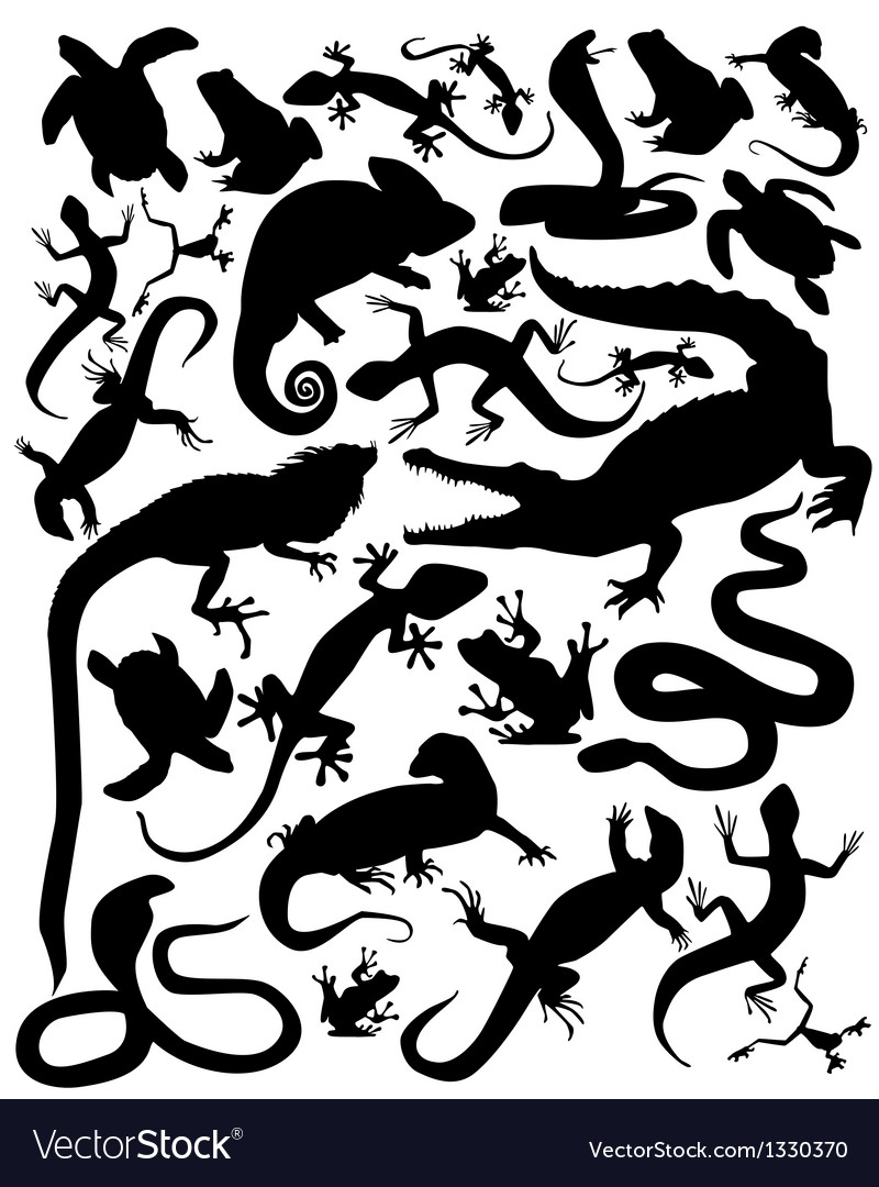 Reptiles And Amphibians Clipart