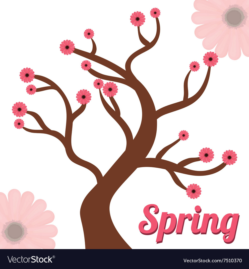 Spring season design Royalty Free Vector Image