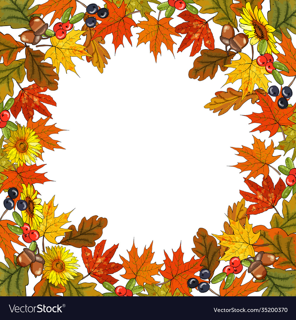 Square autumn pattern with leaves on white Vector Image