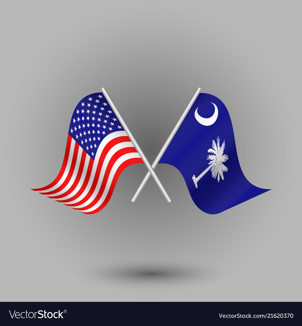 two-crossed-american-and-flag-of-south-carolina-vector-image