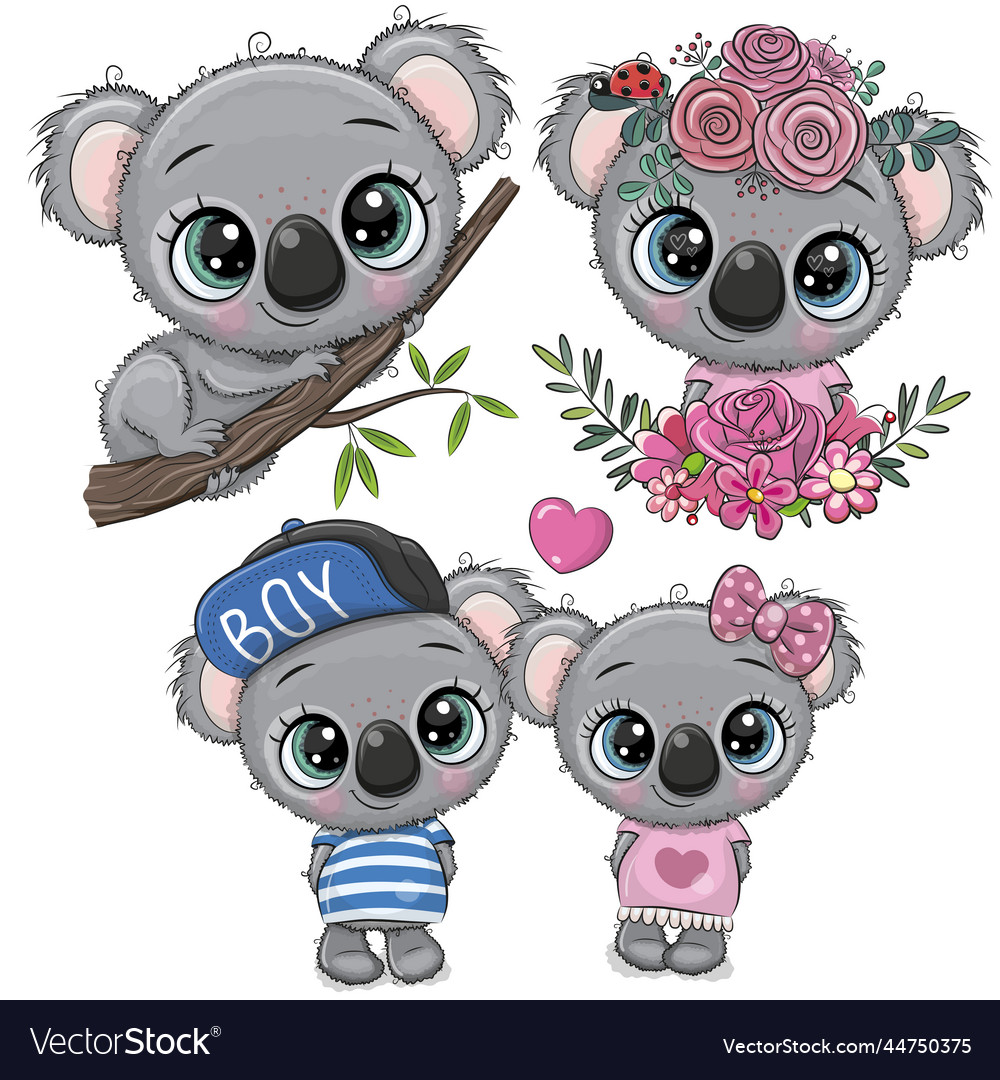 Cute cartoon koalas isolated on a white background