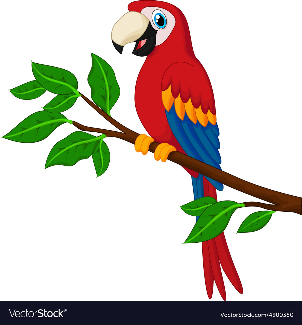 Cartoon red parrot on a branch Royalty Free Vector Image