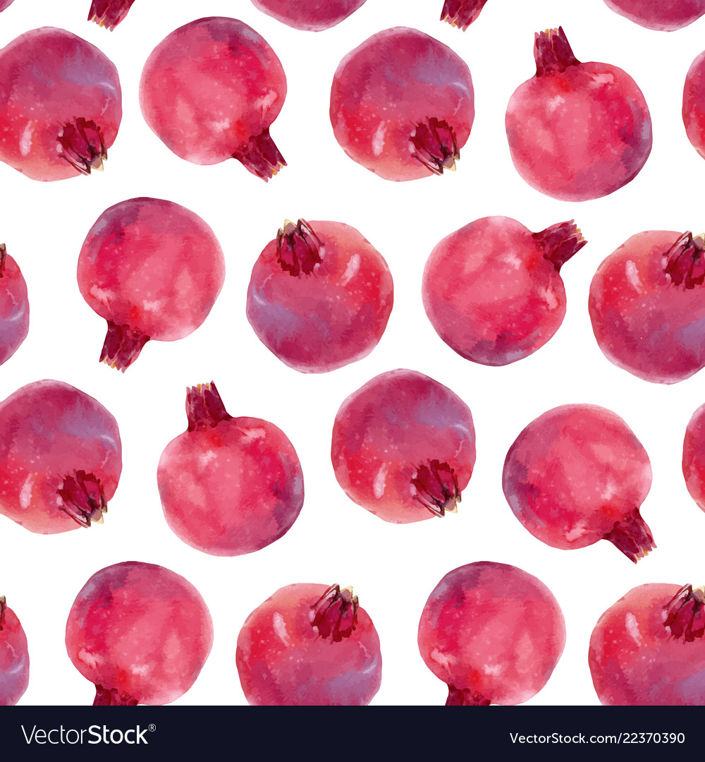 Watercolor pomegranate pattern vector image Watercolor pomegranate pattern