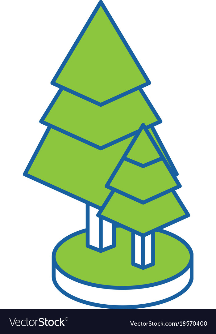 Isometric pine tree design Royalty Free Vector Image