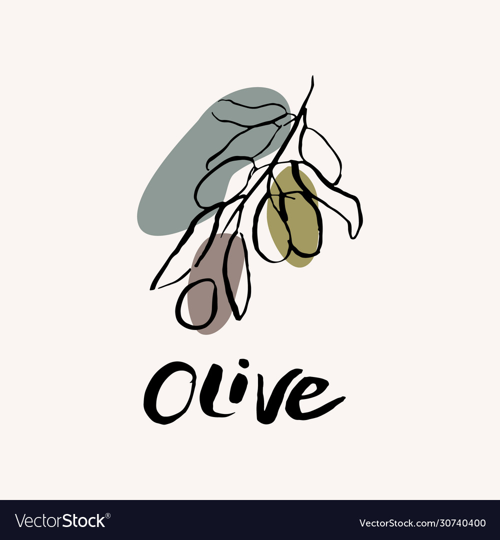 Olive black and white hand draw sketch Royalty Free Vector