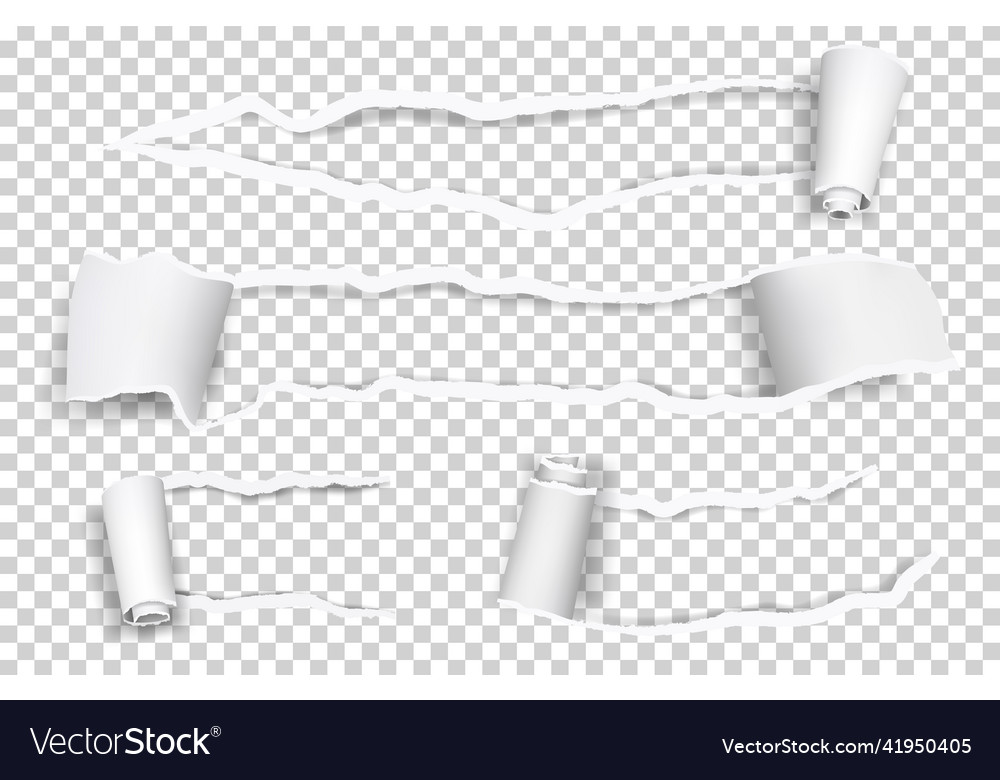 Torn paper ripped sheets curl paper elements Vector Image