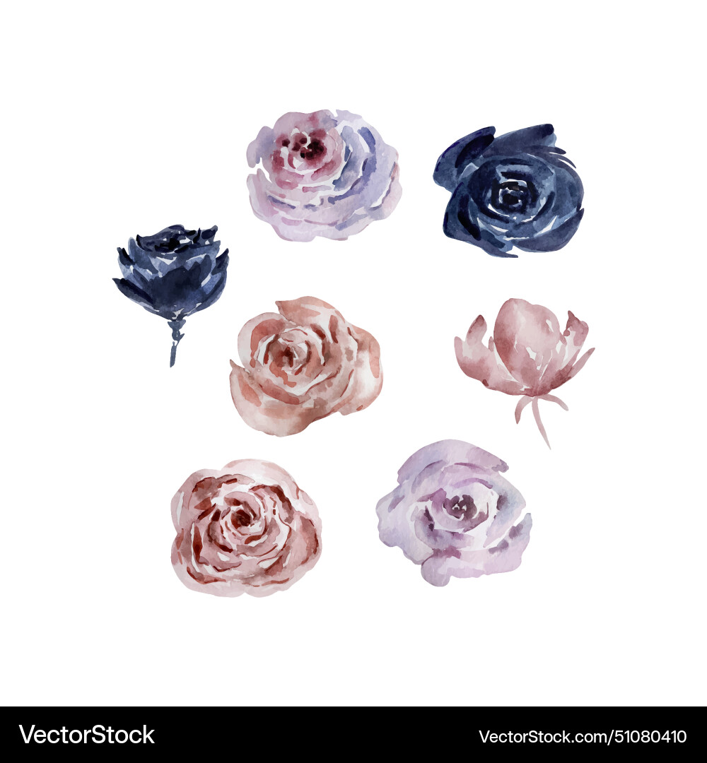 Watercolor boho flowers set Royalty Free Vector Image