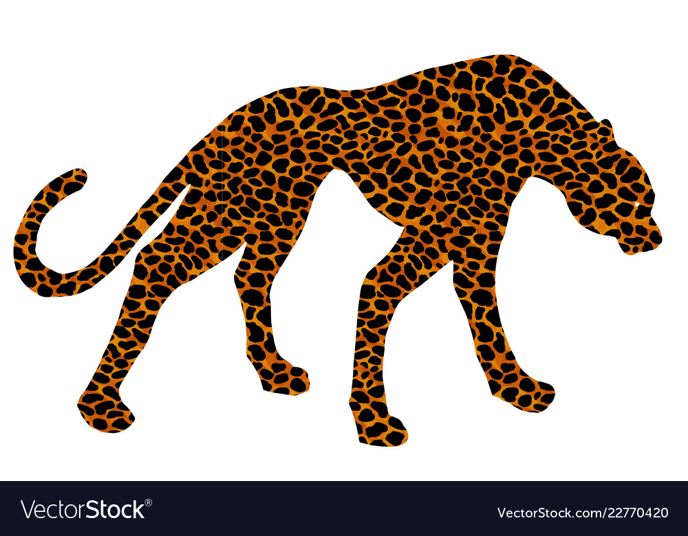 Drawn jaguar leopard wild cat panther coloured Vector Image