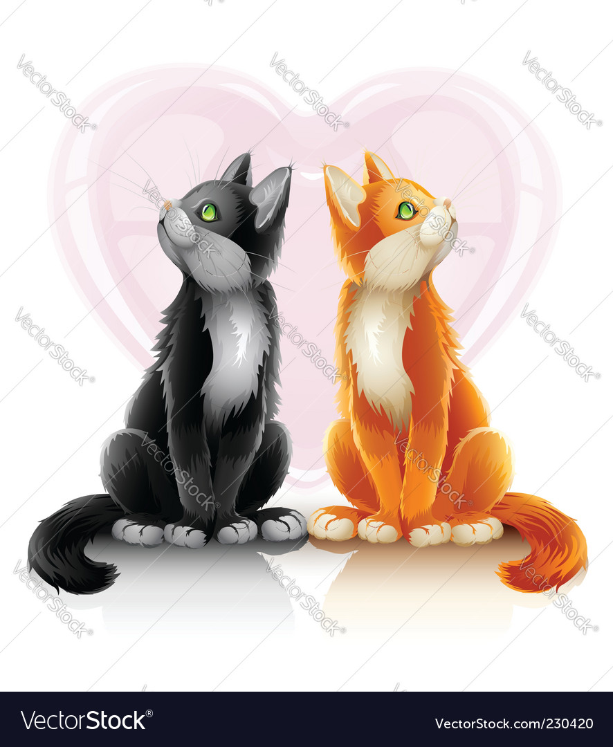 Cats in love on white background Royalty Free Vector Image