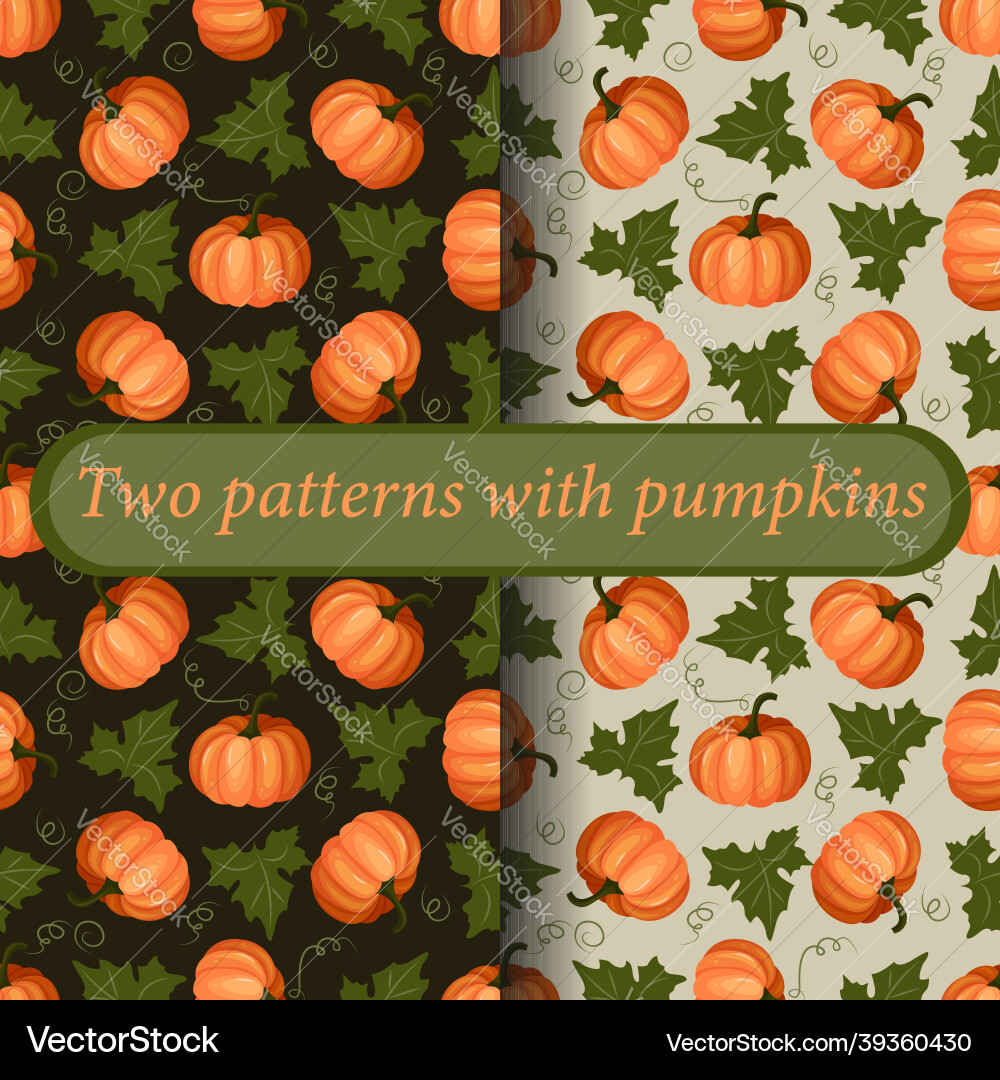 A set of two bright colorful patterns ripe Vector Image