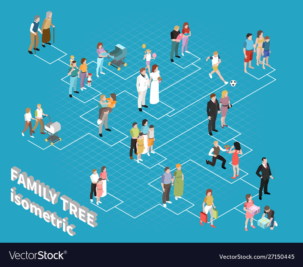 Family tree flowchart Royalty Free Vector Image