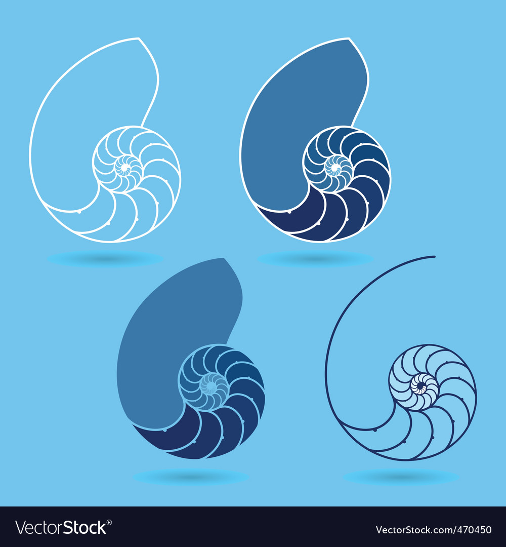 Nautilus Shells Royalty Free Vector Image Vectorstock