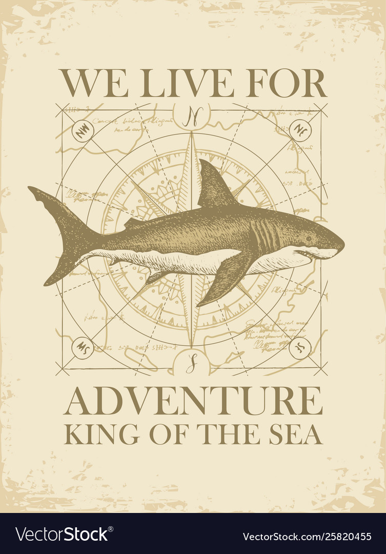 Retro Travel Banner With Shark And Old Map Vector Image