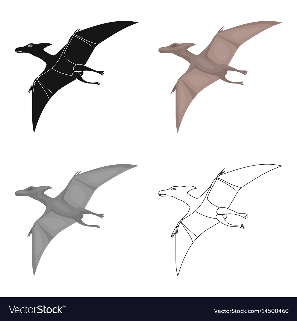 Dinosaur pterodactyloidea icon in cartoonblack Vector Image