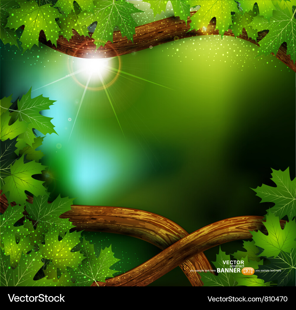 Background forest with trees Royalty Free Vector Image