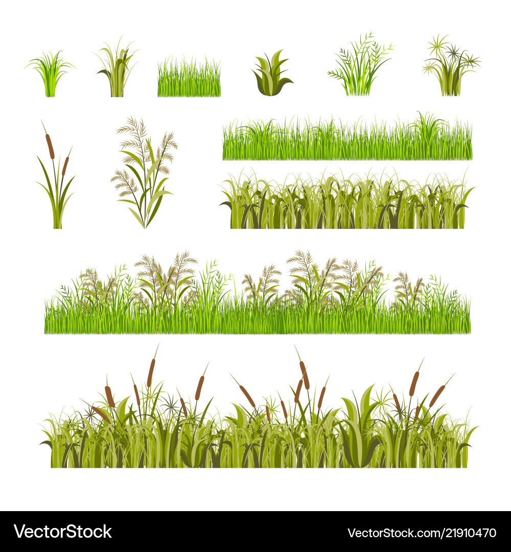 Green grass set decor elements isolated on a white