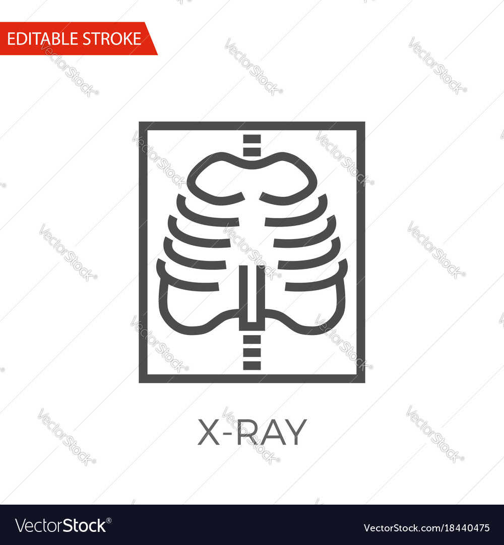 Xray icon Royalty Free Vector Image VectorStock