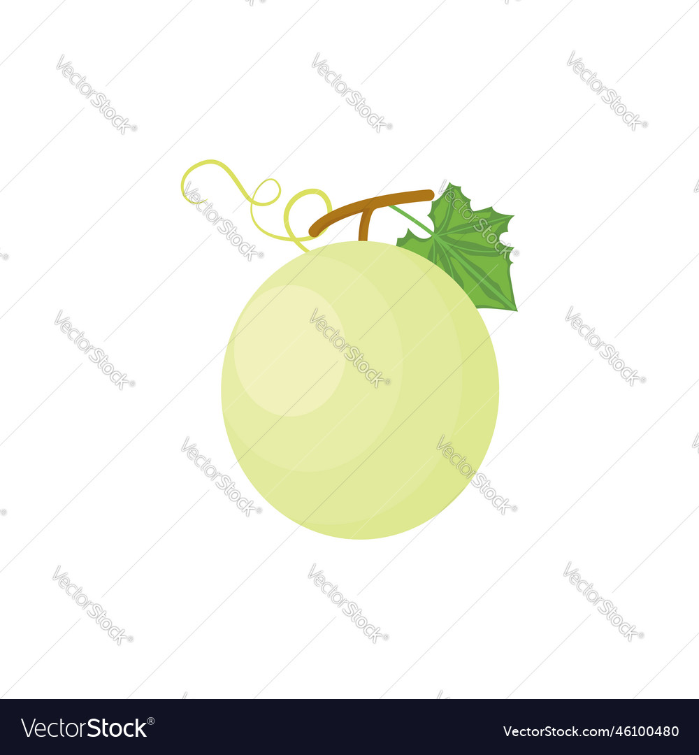 Honeydew Melon Cantaloupe Cartoon Royalty Free Vector Image Honeydew Melon Cantaloupe Cartoon Royalty Free Vector Image