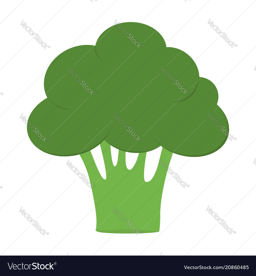Broccoli Icon Green Color Vegetable Collection Vector Image