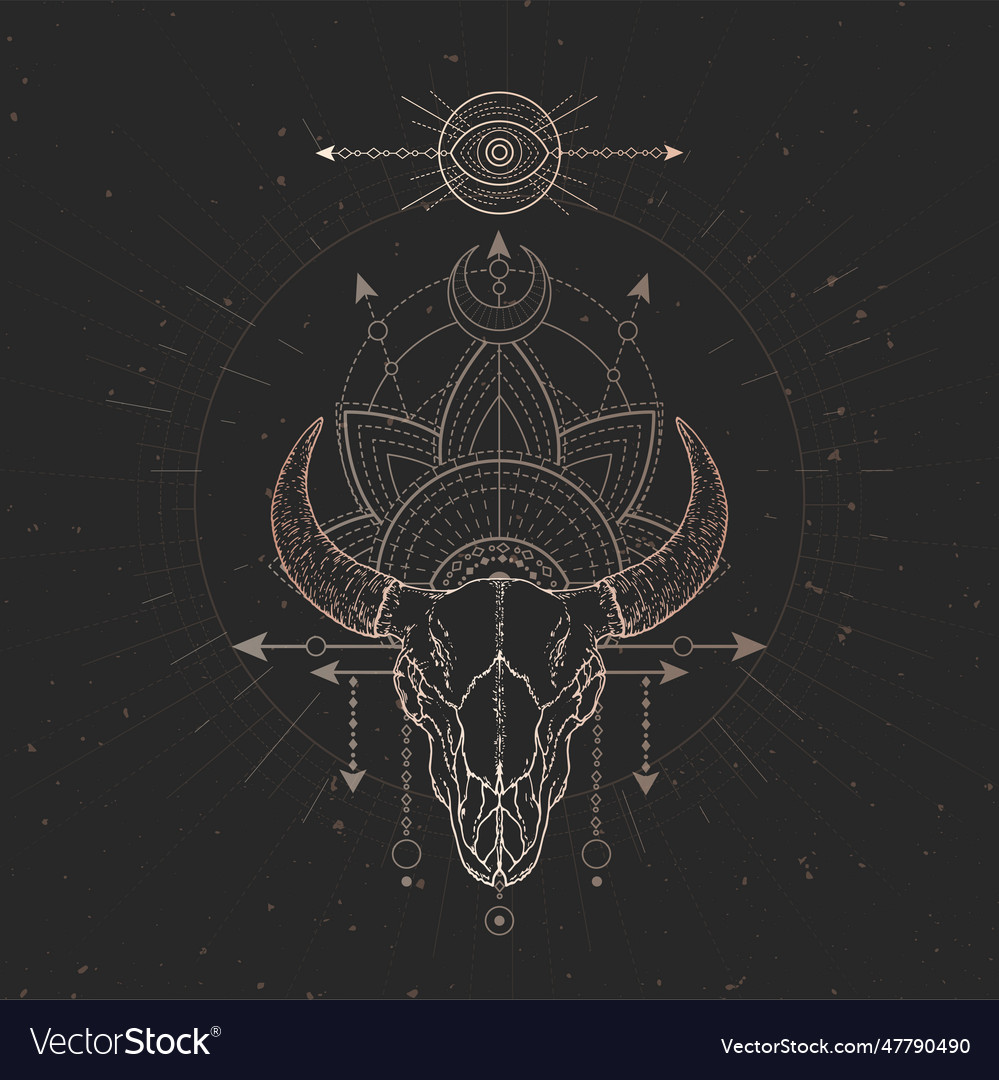 Bull skull Royalty Free Vector Image - VectorStock