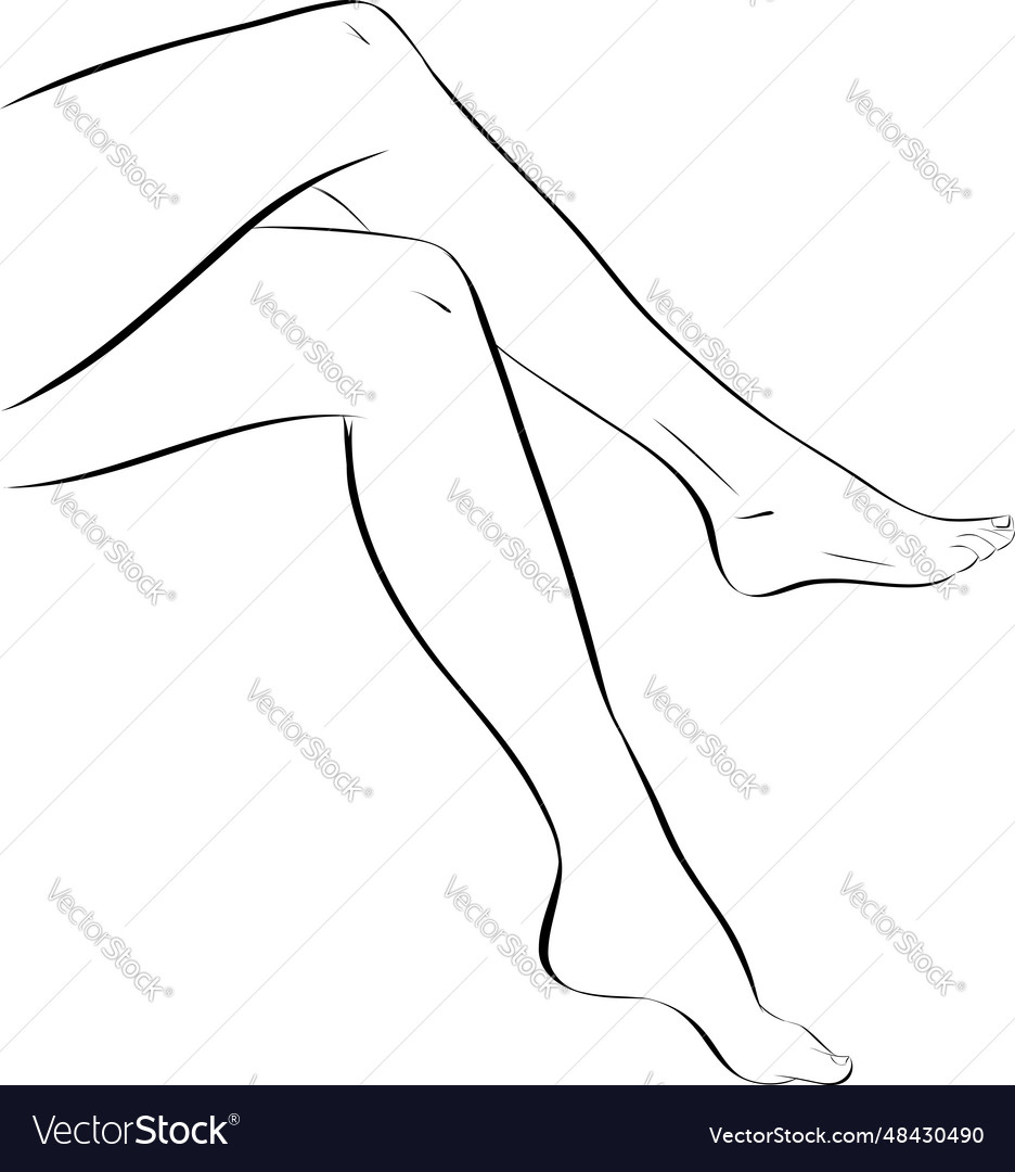 Silhouettes Of Lady Legs And Feet Design Vector Image