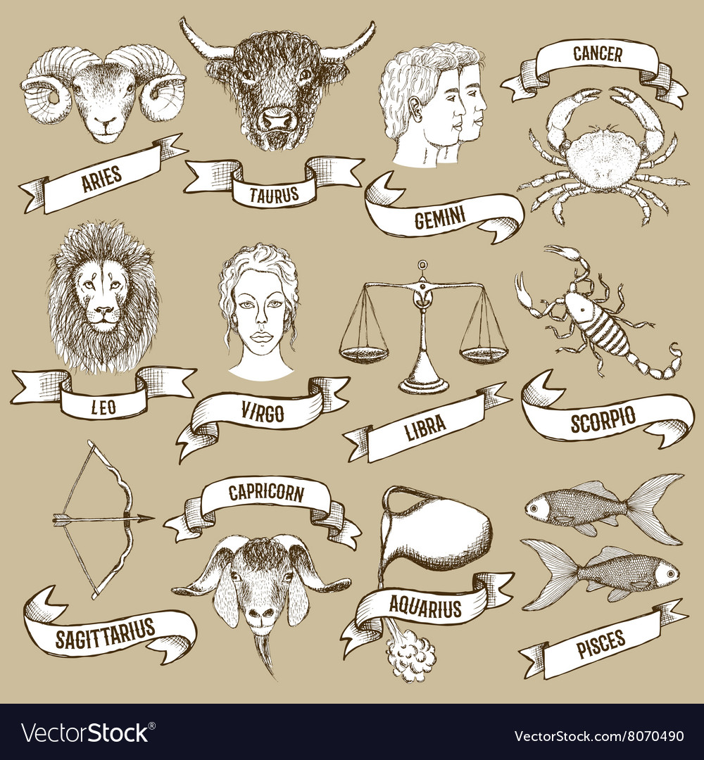 Zodiac set with ribbons Royalty Free Vector Image