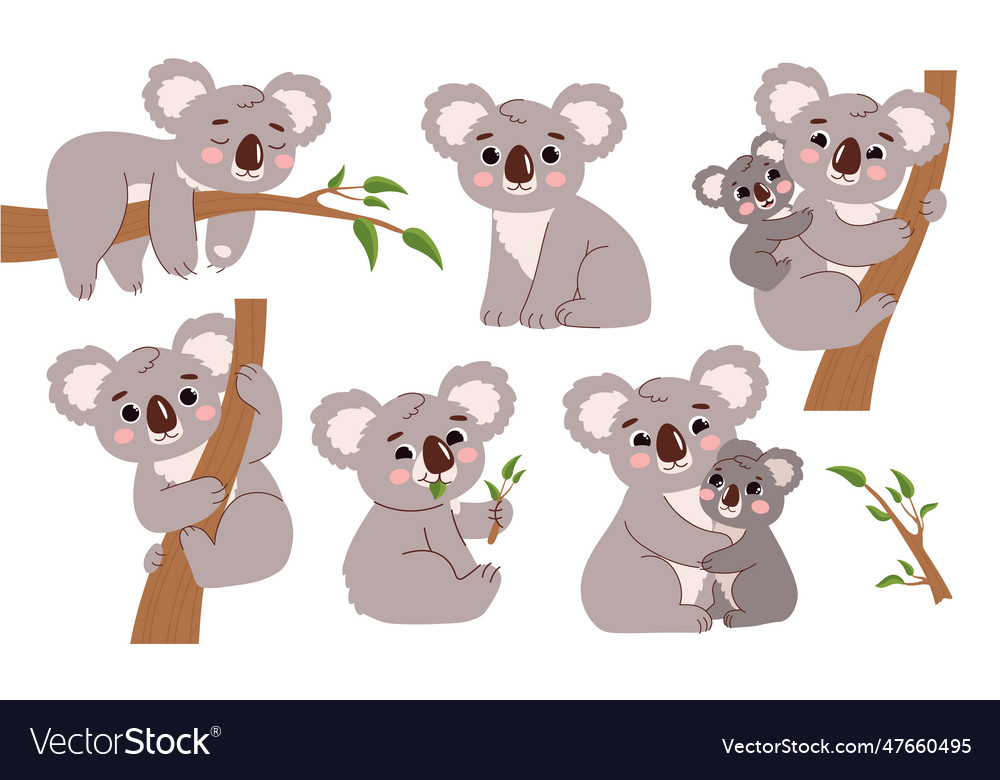 Cute Koala On Branch Set Royalty Free Vector Image