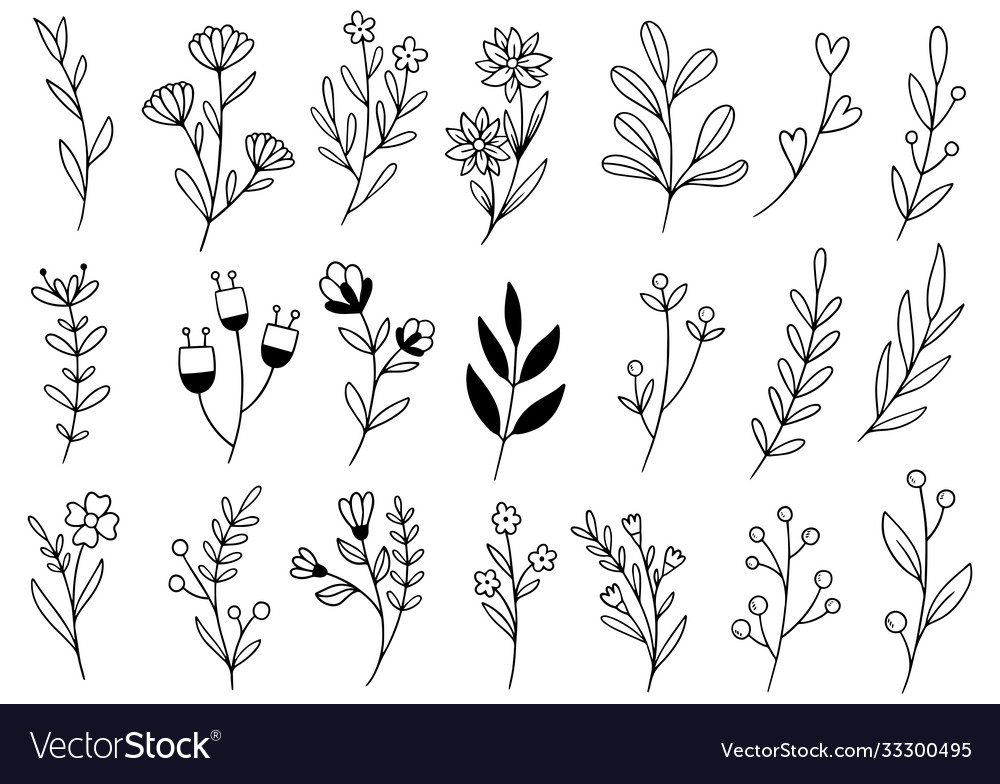 Hand drawn flowers doodle Royalty Free Vector Image