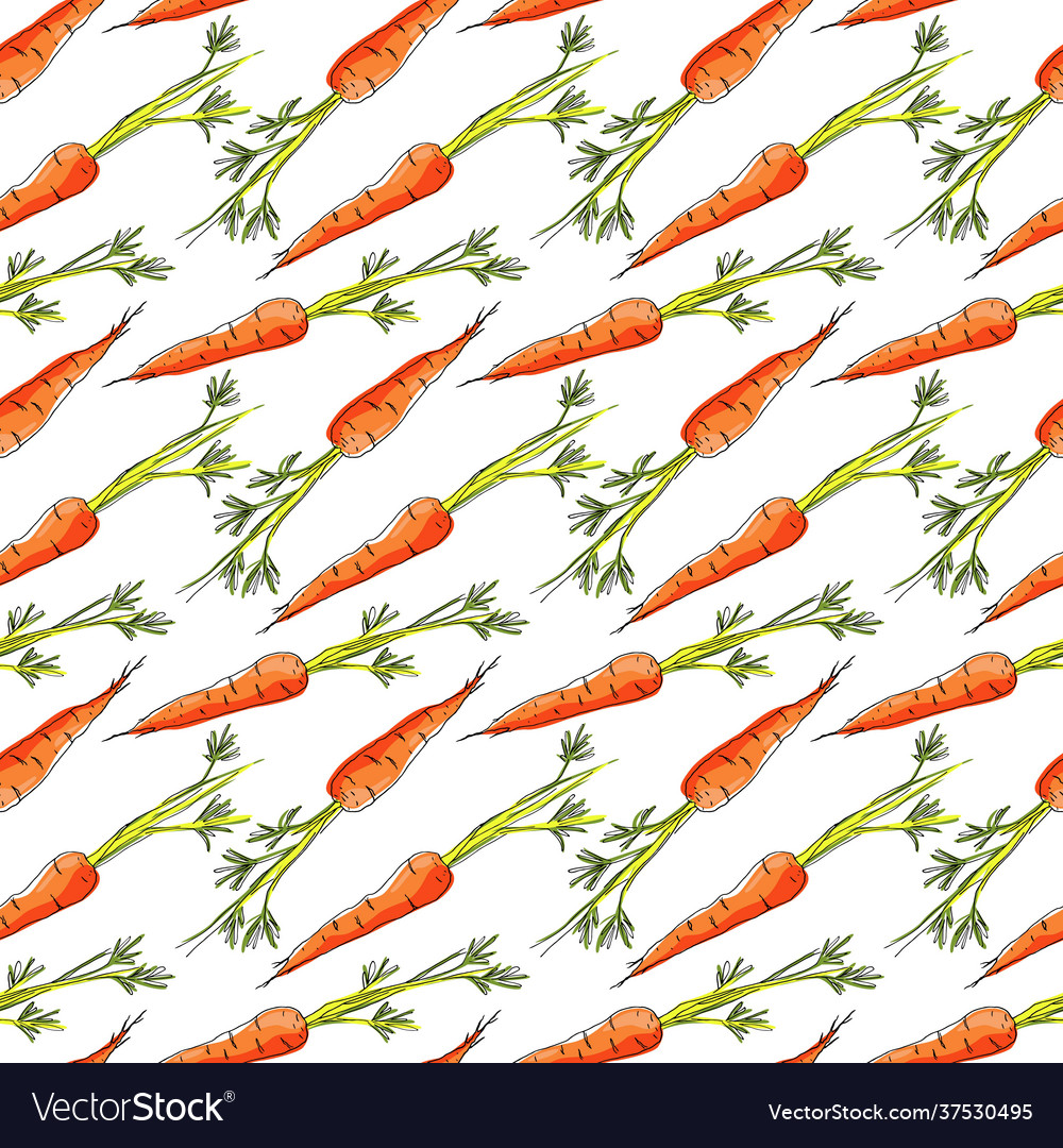 Seamless pattern with carrots on white background Vector Image