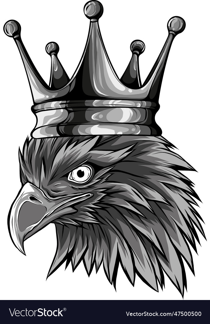 Monochromatic of falcon eagle head Royalty Free Vector Image